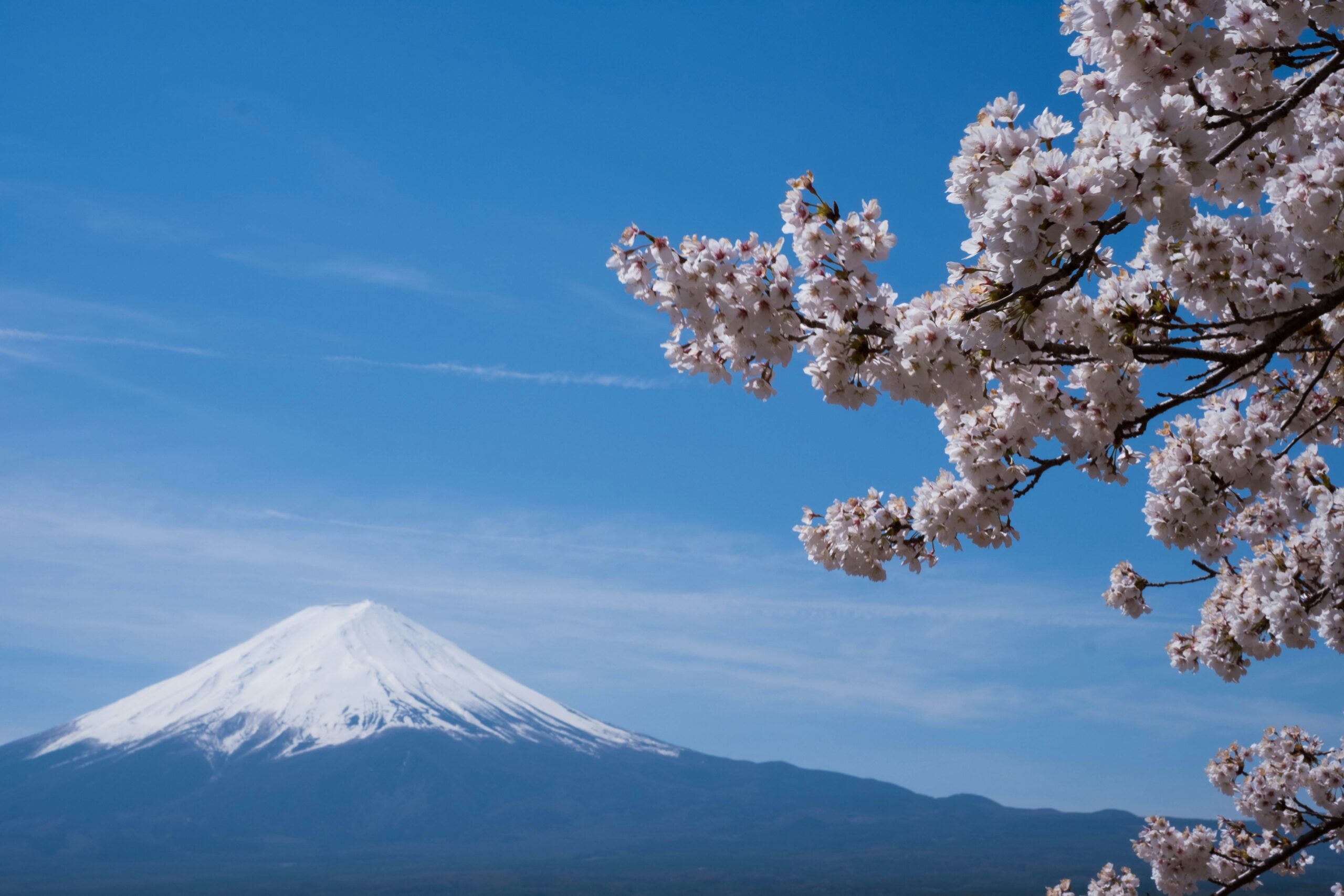 Viaggi in Giappone con Il Fujitivo