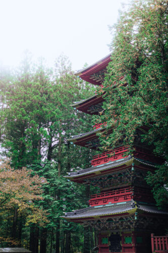 Nikko