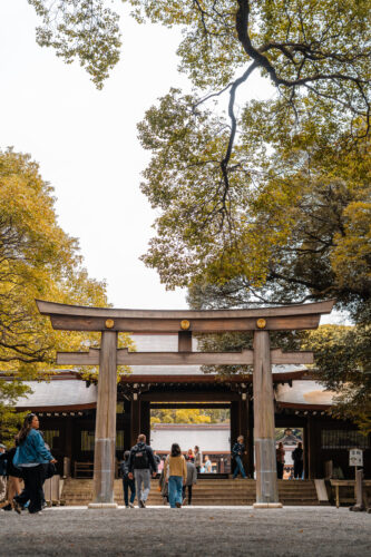Tokyo - Meiji Jingu