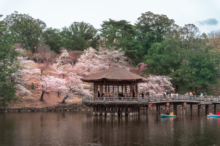 Nara