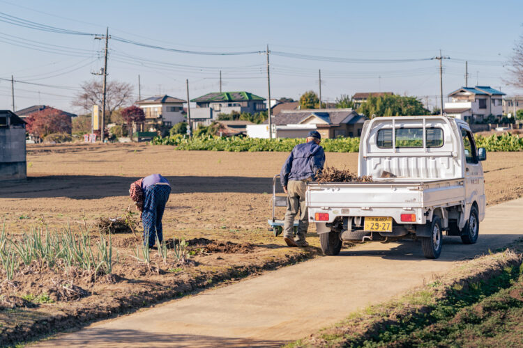 Saitama