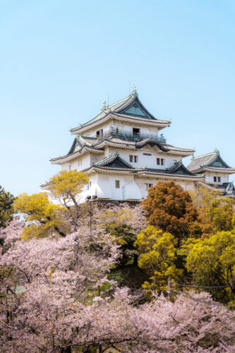 Wakayama