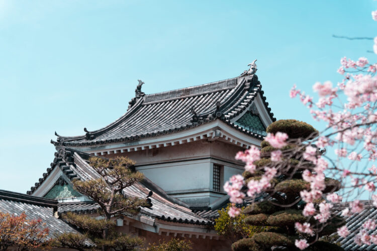 Wakayama
