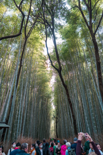 Kyoto